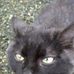 Barb McLaughlin - Facebook