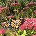 Barb McLaughlin - Facebook
