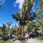 Barb McLeod - @barb_78_ - Instagram