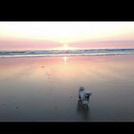 Barb Mcleod - @milly_n_barb - Instagram