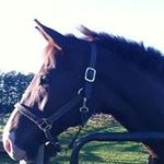 Barb Mcleod - @b.mcleod80 - Instagram