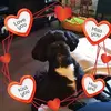 Barb Mcmanus - @barb.mcmanus - TikTok