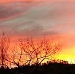 Barb McNabb - Facebook