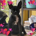 Barbara Mcvicker - Facebook