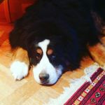 Barb Meade - @alpy_girl - Instagram