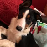 Barbara Maddock Meeks - @barb_meeks - Instagram
