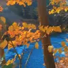 jcjjcj - @barbemelton - TikTok