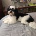 Barb Merrill - Facebook