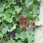 Barb Merrill Shepard - @barb_shepard - Instagram