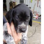 Barb Hill Meyer - @bjljmeyer - Instagram