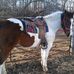 Barb Meyer - Facebook