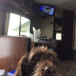 Barb Meyer - @barbmeyer9 - Instagram