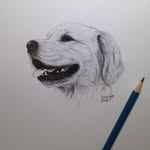Barb Meyer - @barbara.jean.studio - Instagram