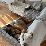 Barb Meyer - @beebela_company - Instagram
