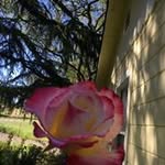 Barb Micheli - @barbmicheli01 - Instagram