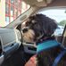 Barb Middendorf - Facebook