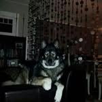 Barb Middleton - @middletonbarb - Instagram