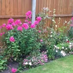Barb Middleton - @middleton_barb - Instagram