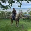 barbmiddletonwall - @barbmiddletonwall - TikTok