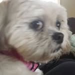 Barb Millar - @mattem22 - Instagram