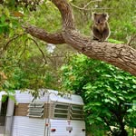 Barb Millard - @barbmillard75 - Instagram