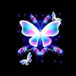 Barb Banjavcic-Mills - @barb_mills - Instagram