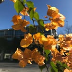 Barb Mills - @byurharteye - Instagram