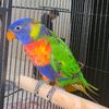 barb.mills - @barb.mills - TikTok