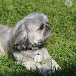 Barb Mockford - @barbmockford - Instagram