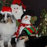 Barb Moeller - @barbmoeller1 - Instagram