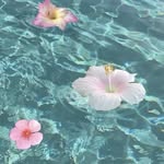 ₊˚🐚 ｡ ִ𖦹 ϐɑꭈϐɑꭈɑ𖥔🌊 ࣪ ᥫ᭡ - @barbara.montemor - Instagram