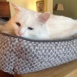 Barb Morrissey - @barb.morrissey - Instagram