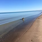 Barb Morrissey - Facebook