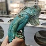 Barb Nicholson - @barbnicholson1954 - Instagram