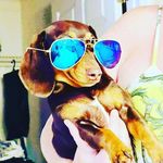 Barb Nielsen - @barb_nielsen23 - Instagram