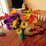 Barb Nielsen - @misscloee2002 - Instagram