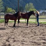 Barb Nielsen - @barbnielsen2979 - Instagram