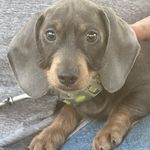 Barb Nielsen Bauer - @barbbauer7449 - Instagram