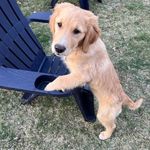 Barb Nielsen Stirn - @b.a.stirn - Instagram