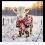 Barb Search-Nielsen - @banielsen9 - Instagram