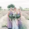 Cindy Barbott - @barbottfarms - TikTok