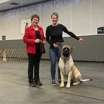 Barb Page - @katywindsmastiffs - Instagram