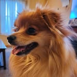 Barb Page-McPhall - @foreverbresmom - Instagram