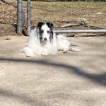 Barb Patterson - @barb.patterson.5 - Instagram