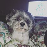 Barb Petersen - @barbp71 - Instagram