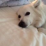 Barb Petersen - @bpetersen5000 - Instagram