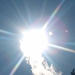 Barb A. Peterson - @barbpeterson31 - Instagram