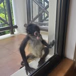 Barb Peterson - @barb.peterson.3154 - Instagram