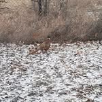 Barb Peterson - @barb.peterson.54 - Instagram