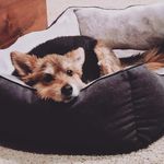 Barb Phillips - @bphillips62 - Instagram